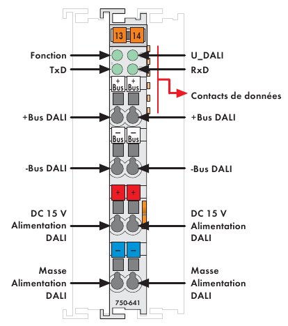 module