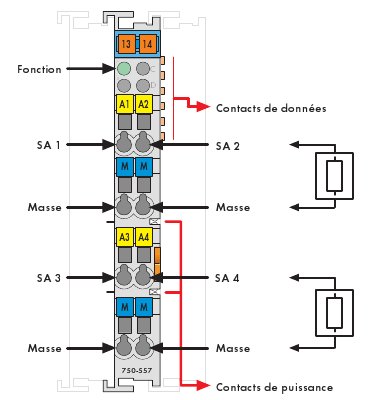 module