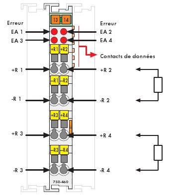 module