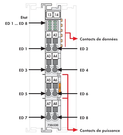 module