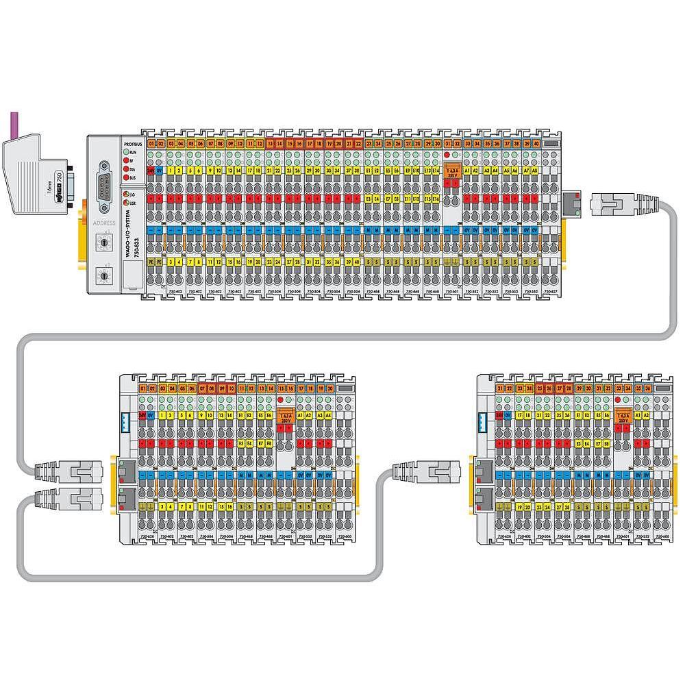 module